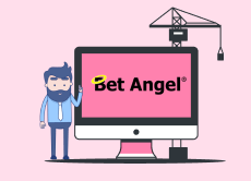 What is Bet Angel? 