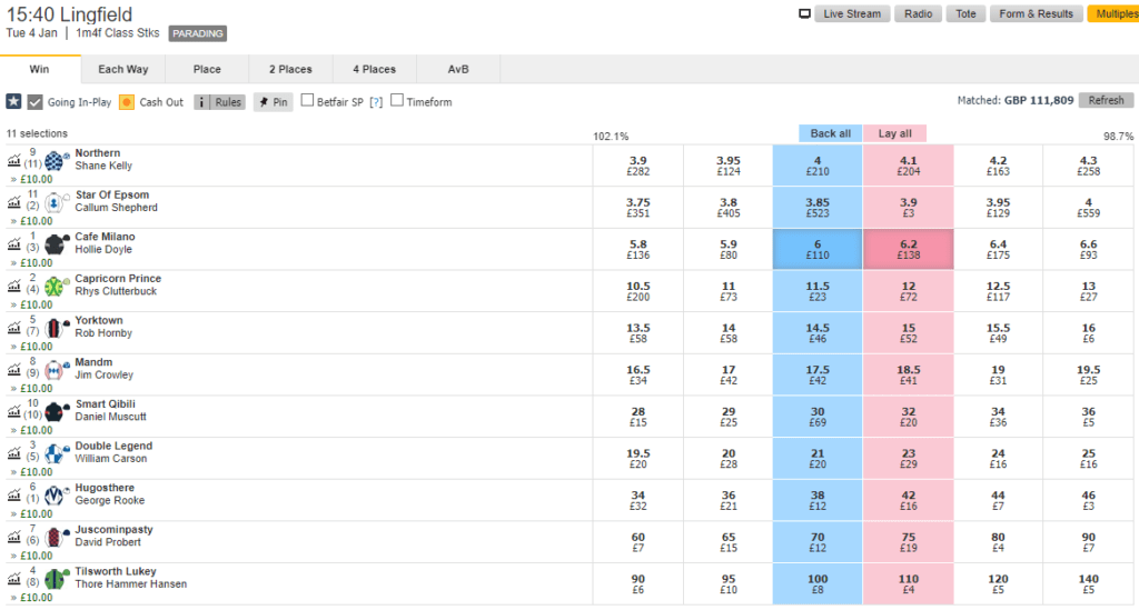 Dobbing system example in horse racing betting